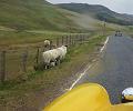 Perth-Aviemore, overzicht dag3, (103)
